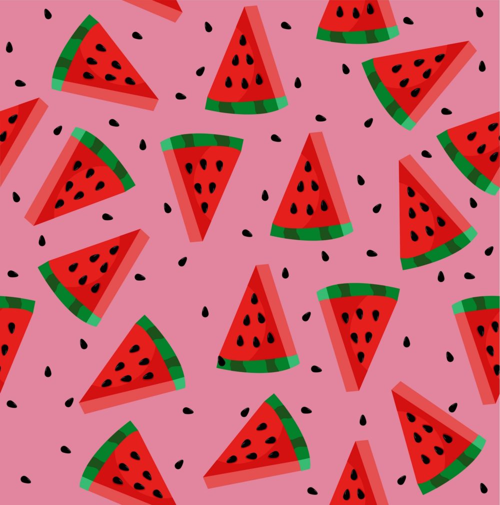 Matching Swim Trunks - Red Watermelon - Image 4