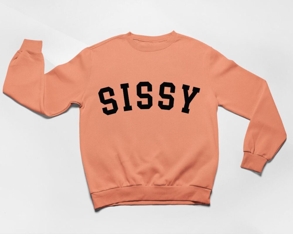 Matching Sweatshirts – Siblings - Image 7